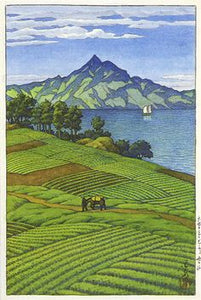 Persilja 100 g