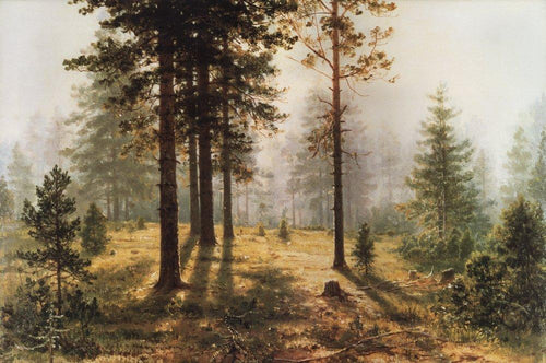Små fikon 100 g