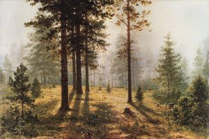 Små fikon 100 g